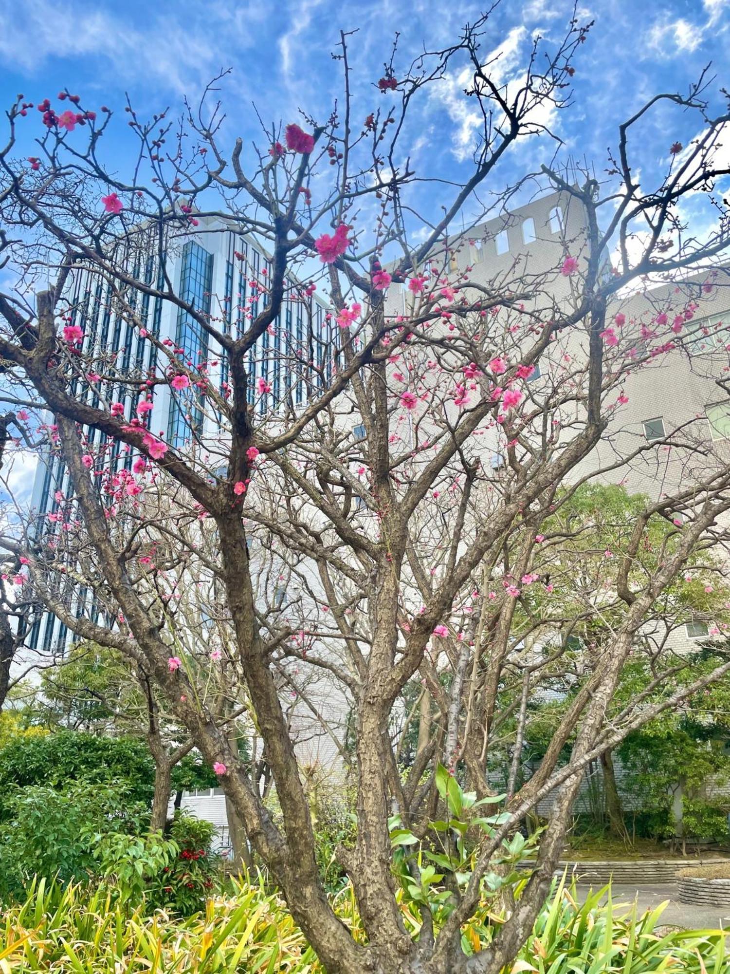 Toshi Center Hotell Tokyo prefektur